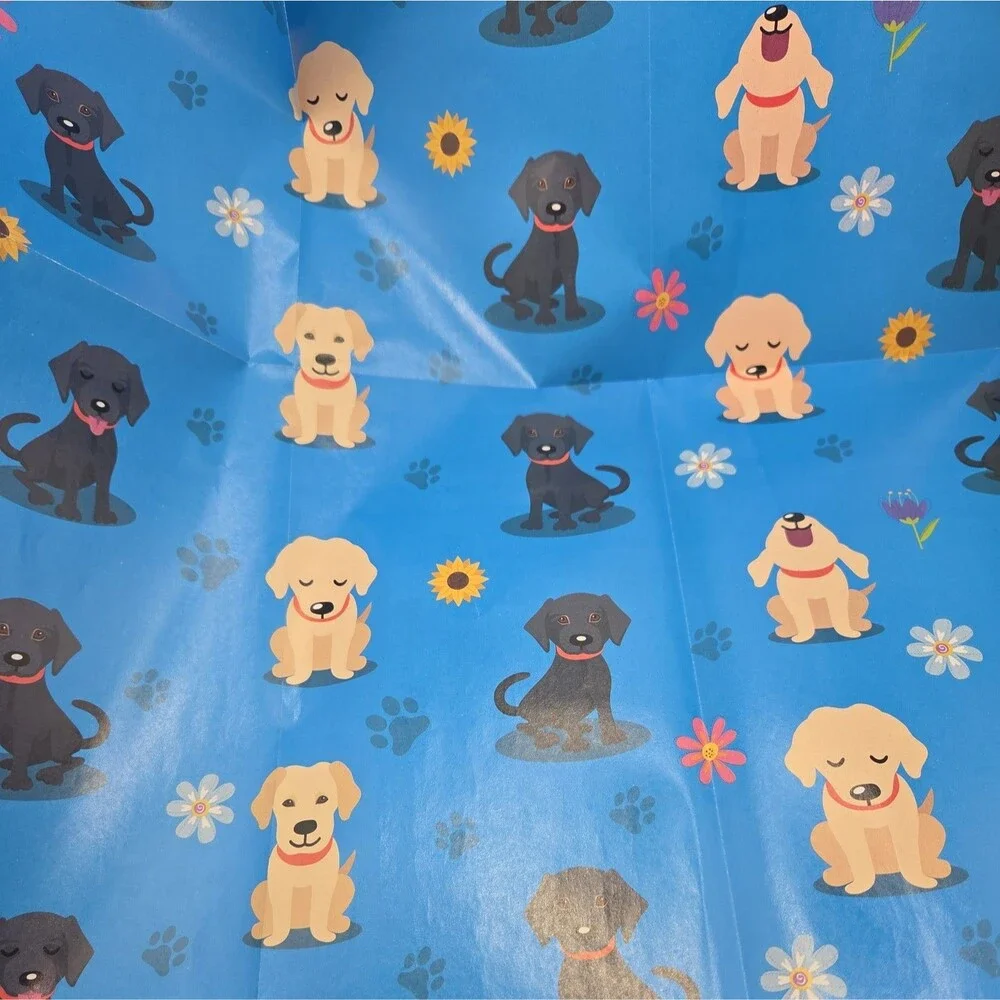 Guiding Eyes here we